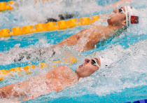 В рамках Кубка сильнейших спортсменов по плаванию, прошедшего на этой неделе в Минске, глава Федерации водных видов спорта России Дмитрий Мазепин и президент Олимпийского комитета Беларуси Виктор Лукашенко встретились, чтобы обсудить перспективы развития водных видов спорта в своих странах