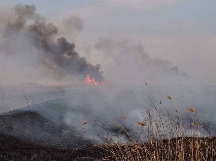 В Элисте зафиксировали чистый воздух