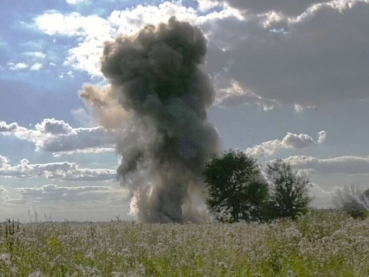 Три гранаты обезвредили воронежские саперы в Лискинском районе