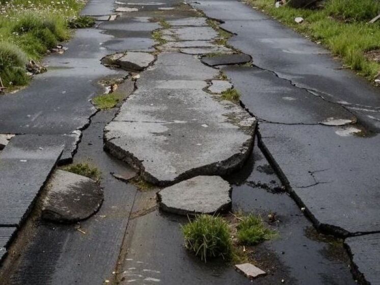 Жители Воронежа пожаловались на «грязевые ванны» вместо тротуаров