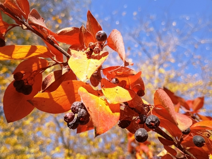 Сила магнитной бури 26 ноября составит 5 баллов: удачный день для любой деятельности