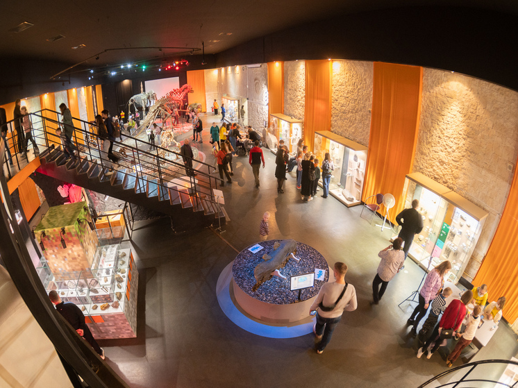 Пермяков приглашают на выставку «После льда: неглубокая древность Прикамья» и лекции