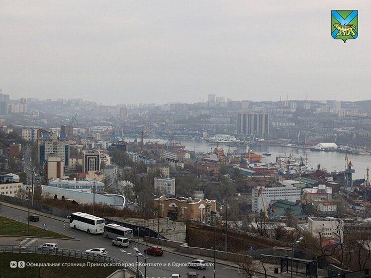 Стартовал конкурс на оплачиваемую стажировку в правительстве Приморья