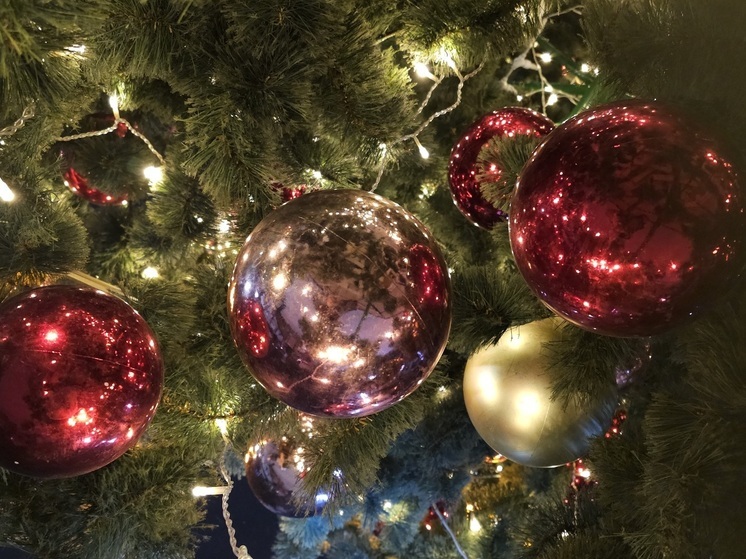 В Новосибирске с 1 декабря откроются более 100 елочных базаров