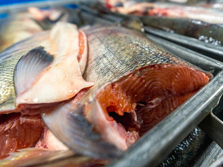 Браконьера-рецидивиста с горбушей поймали на одной и той же реке в Поронайске