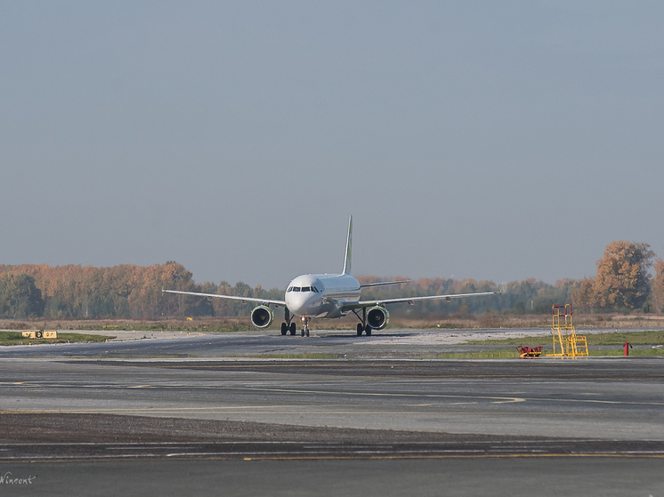 В аэропорту Толмачёво задерживаются семь рейсов