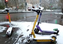 Председатель городской думы Екатеринбурга Анна Гурарий представила инициативу по регулированию СИМ в Совете Федерации