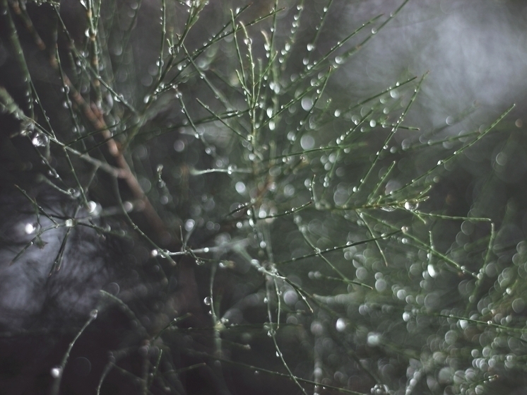 В Курской области установилась аномально тёплая погода