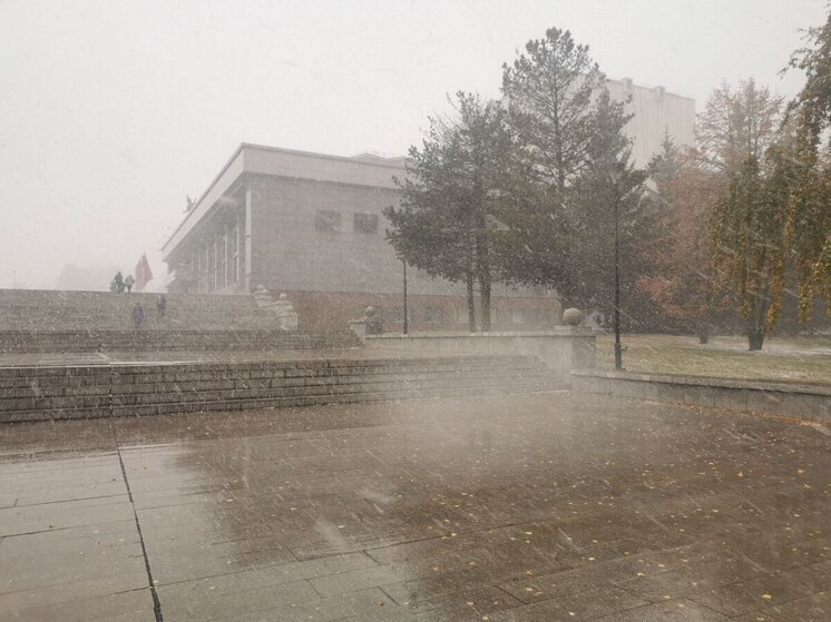 Штормовое предупреждение из-за метелей и ветра объявили в Алтайском крае