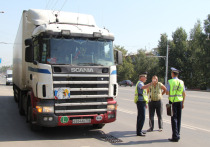 Руководитель проектов Научно-исследовательского центра региональных транспортных систем России Олег Арефьев считает, что властям Башкирии вполне по силам выполнить политическую задачу по цивилизации рынка грузовых перевозок