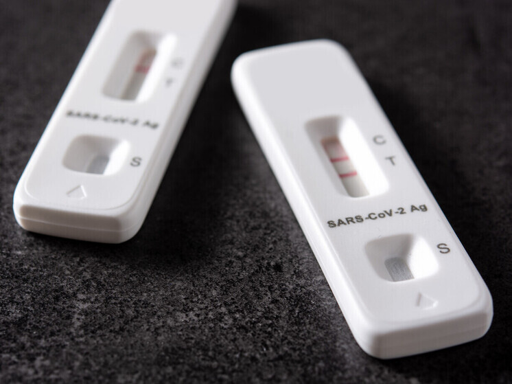 Во Владимирской области COVID-19 сократился почти на треть