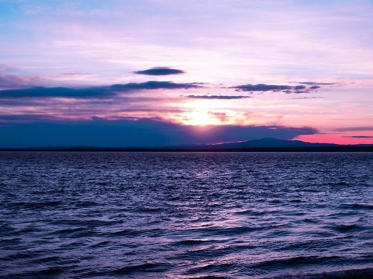 Хабаровский край развивает речную и морскую логистику, привлекая инвесторов