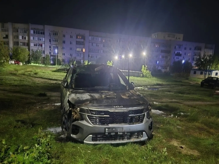 Во Владимирской области банда азиатов требовала у местного 2.5 млн рублей и в отместку сожгла автомобиль