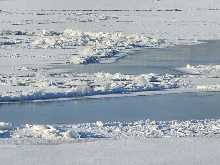 Трое детей утонули на водоемах Новосибирска с начала ледостава