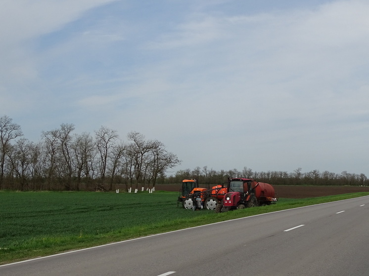 На Ставрополье площадь посевов озимых культур составила 2 017 тысяч га