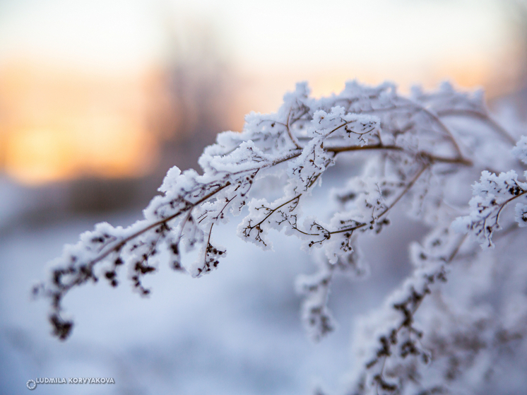 В Карелии ожидаются морозы 26 ноября