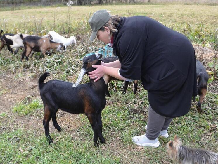 Минсельхоз России оценил сыр панир из Орловской области