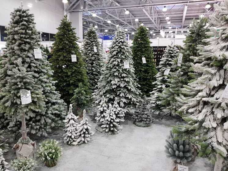 Эксперт раскрыл ивановцам секреты выбора идеальной искусственной елки
