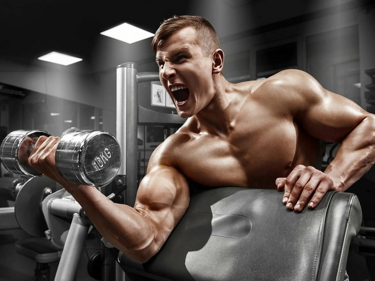 Тех, кто «качает железо», становится все больше, но насколько это полезно для организма?