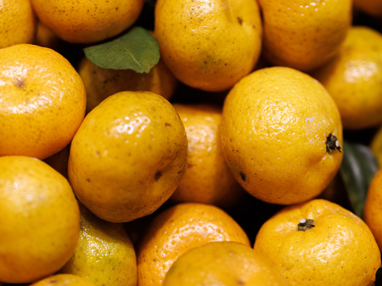 Россия в 2025 году резко нарастила импорт мандаринов из Марокко, ЮАР и Китая