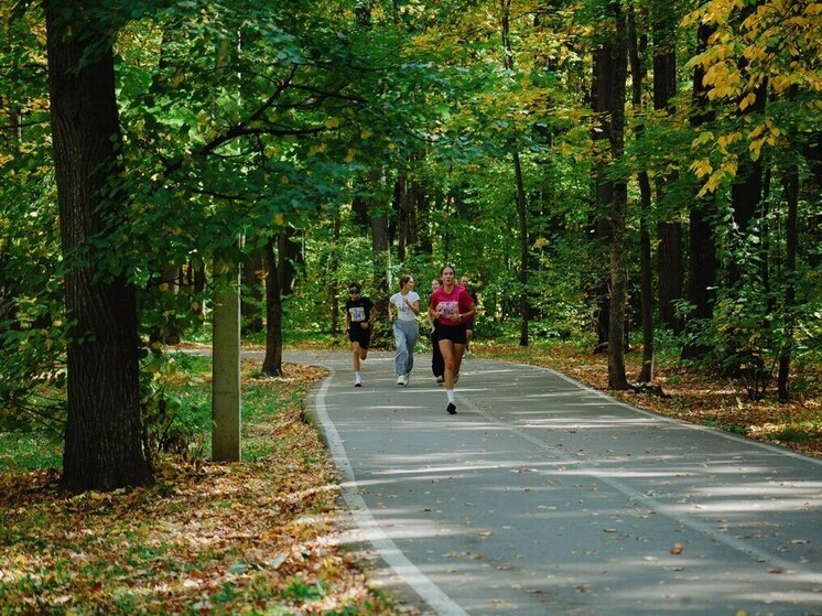Пензенские села получат «земских» тренеров