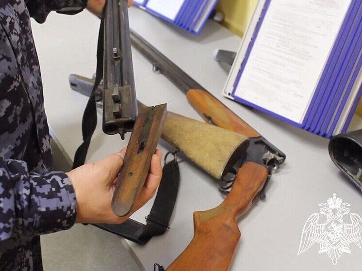 Росгвардия изъяла четыре единицы оружия за неделю проверок в Курской области