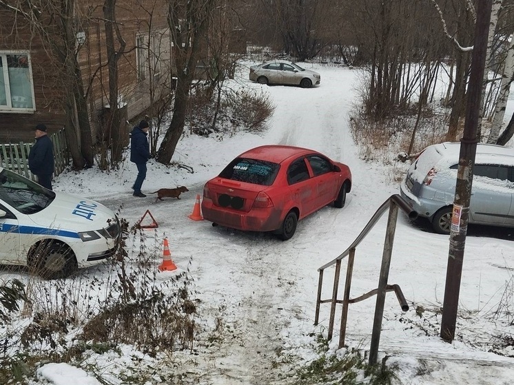 В Петрозаводске ребенок скатился с горки под колеса машины
