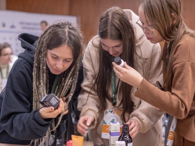 В Петрозаводске вновь состоится «Экодвор»: обмен вещами, лекции и мастер-классы