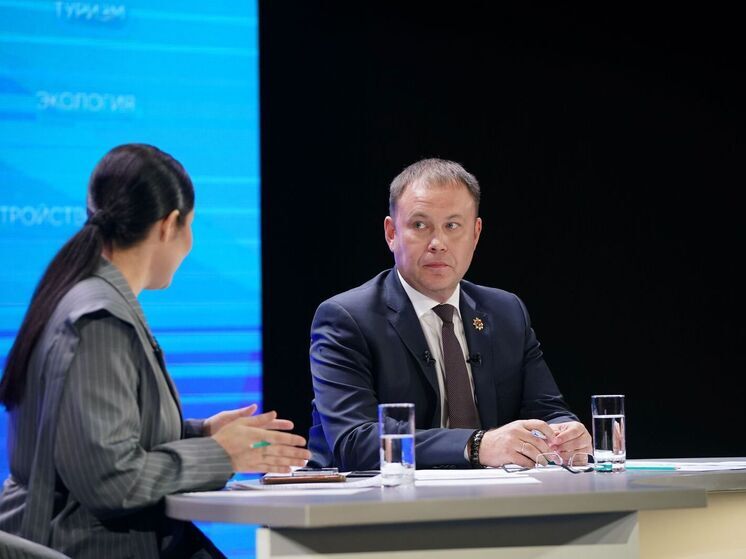 Кузбассовцы пожаловались губернатору на кризис с бездомными животными