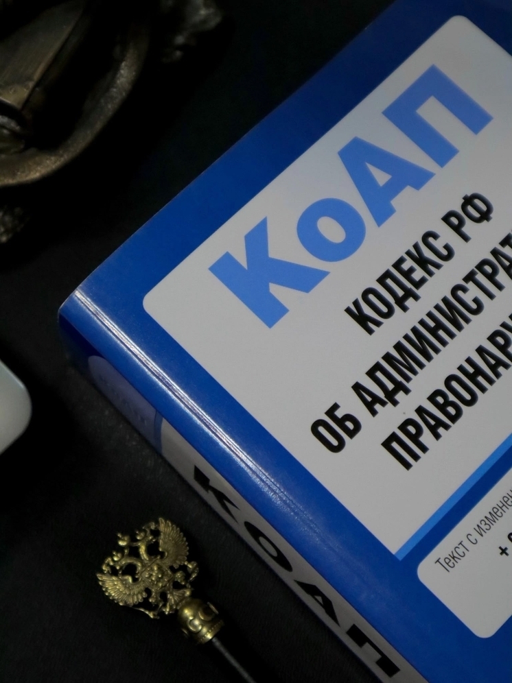 Водитель из Мурома заплатит за неуслышанную сирену ДПС