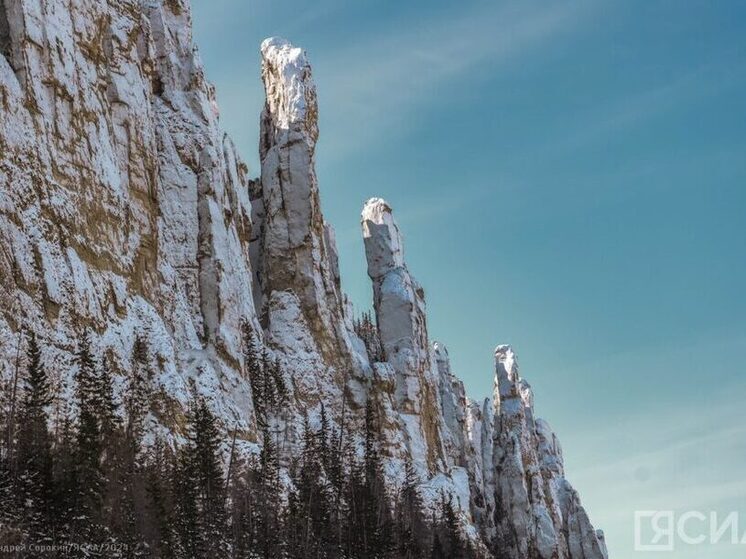 Выездные регистрации браков набирают популярность в Якутии: 19 пар поженились на Ленских столбах