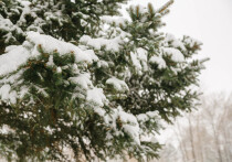 В Приморье объявлено штормовое предупреждение
Синоптики объявили тревогу: в понедельник утром, 1 декабря, Владивосток может накрыть первым по-настоящему обильным снегопадом