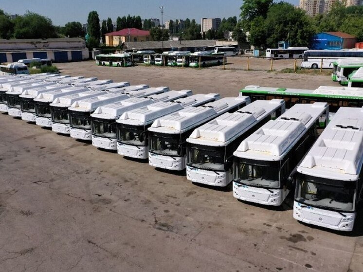 В убыточном «Воронежпассажиртрансе» не хватает 156 водителей автобусов