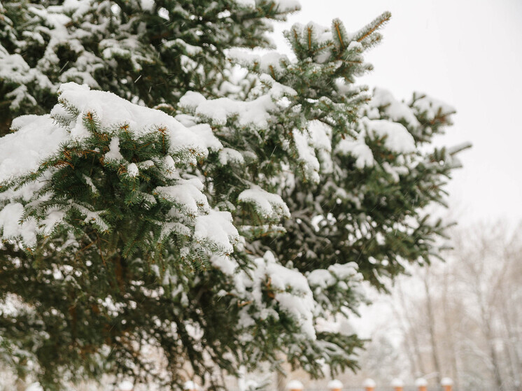 Снежный апокалипсис: первый серьезный снегопад обрушится на город 1 декабря