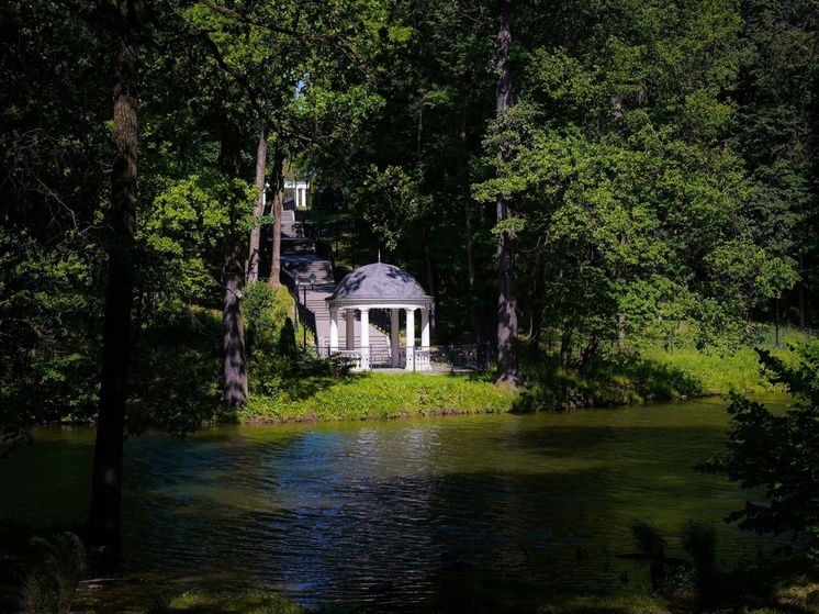 Власти Тулы направят на содержание 24 городских скверов 100 млн рублей