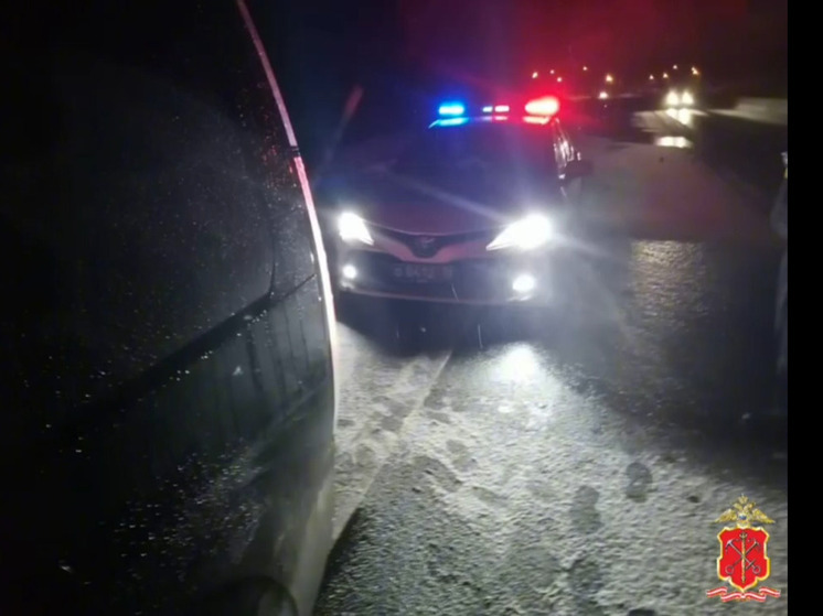 Три выстрела по колесам остановили пьяного водителя во Всеволожском районе