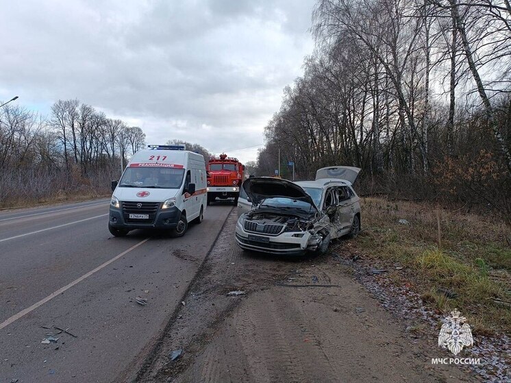 Спасатели МЧС ликвидировали последствия трех ДТП в Тульской области