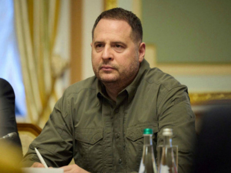 NYP: Ермак поник после сообщения Трампа о возможной встрече с Путиным