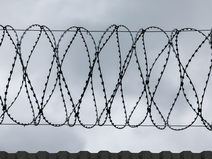 Житель Хабаровского края осужден на 17 лет за передачу данных оборонного предприятия Украине