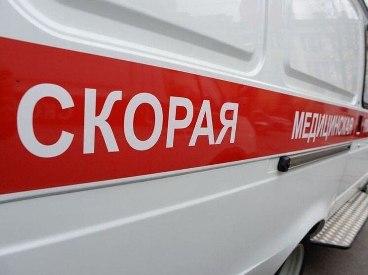 Водителя мусоровоза госпитализировали после сваливания в кювет на трассе «Нарва»