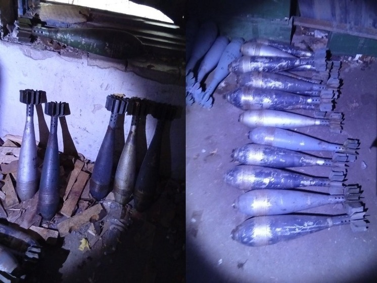 В Запорожской области найден крупный схрон с боеприпасами