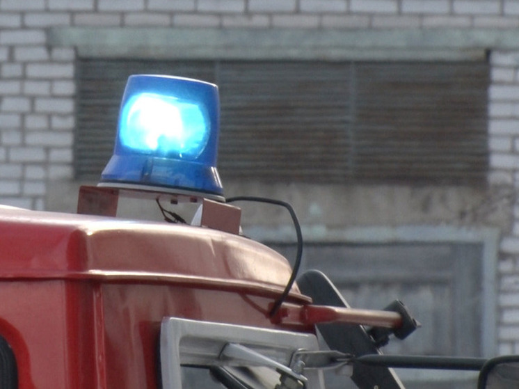 В Луге ночью сгорел гараж с автоприцепом