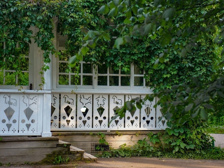 На охрану школы в тульской Ясной Поляне выделили 23 млн рублей