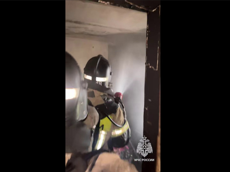 Сотрудники МЧС России эвакуировали пятерых жильцов при пожаре в многоэтажке Макеевки