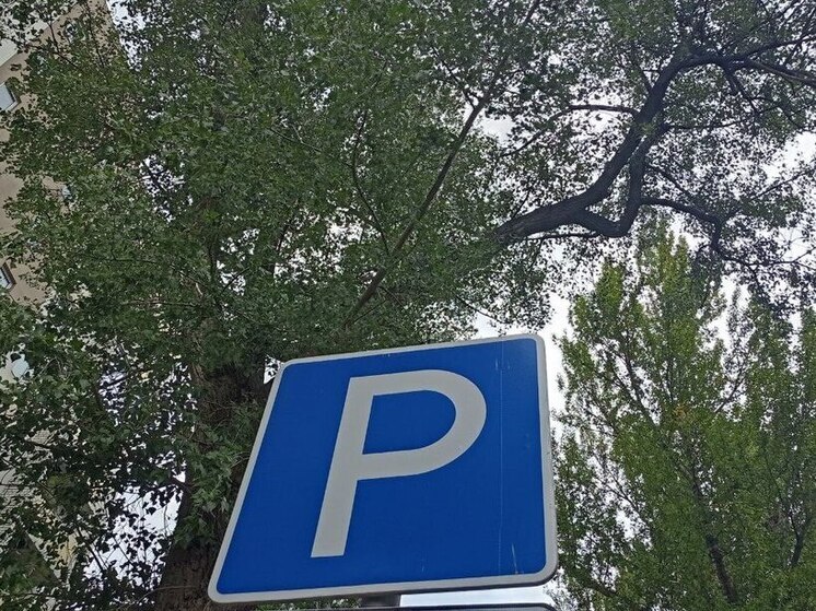 В Саратове новые платные парковки принесли 2,7 млн рублей