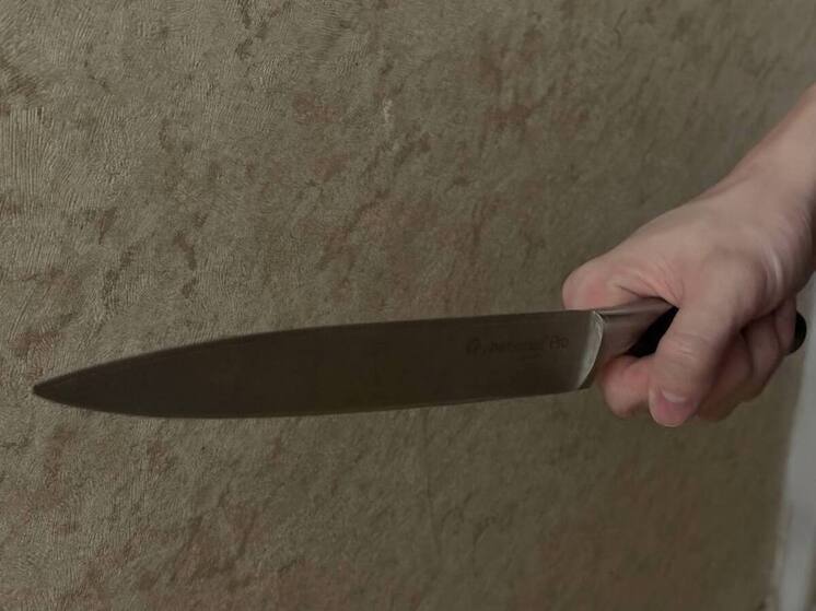 В Оленегорске полицейские задержали агрессивного соседа с ножами