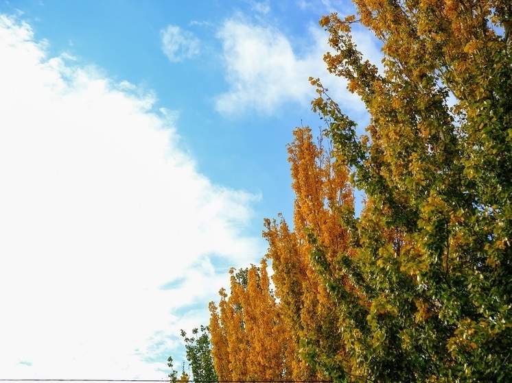 В Волгоградской области беспилотную опасность не объявляли с 23 ноября