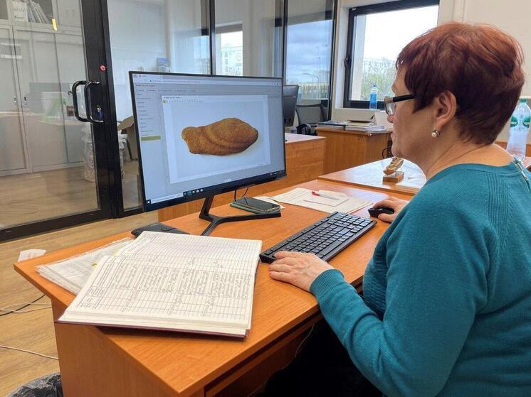 Запорожские музейщики проходят стажировку в севастопольском «Херсонесе Таврическом»