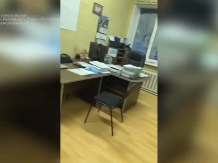 ФСБ пресекла мошенничество с лесовосстановлением в Ленинградской области