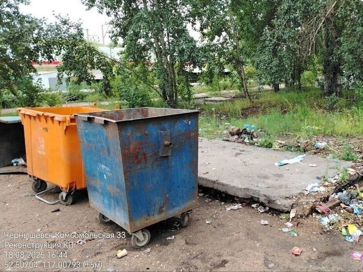 Запрещающий мешать вывозу мусора закон приняли в Забайкалье